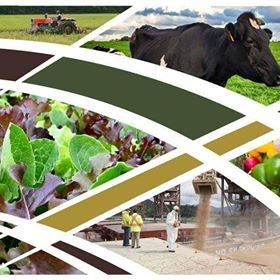 Agri Business